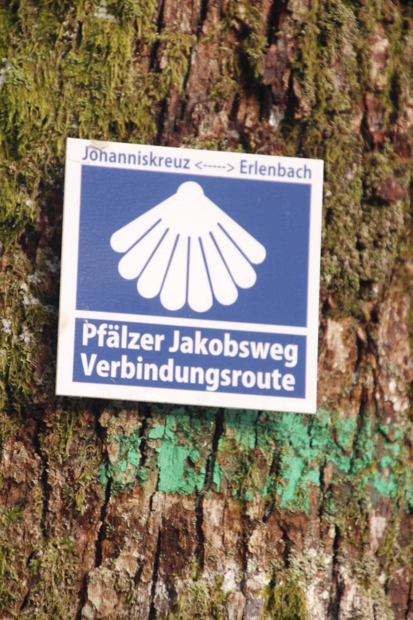 Appartamento Ferienwohung Am Felsenwanderweg Im Pfaelzerwald Rodalben Esterno foto