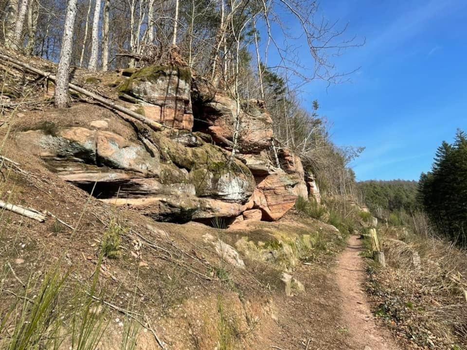 Appartamento Ferienwohung Am Felsenwanderweg Im Pfaelzerwald Rodalben Esterno foto