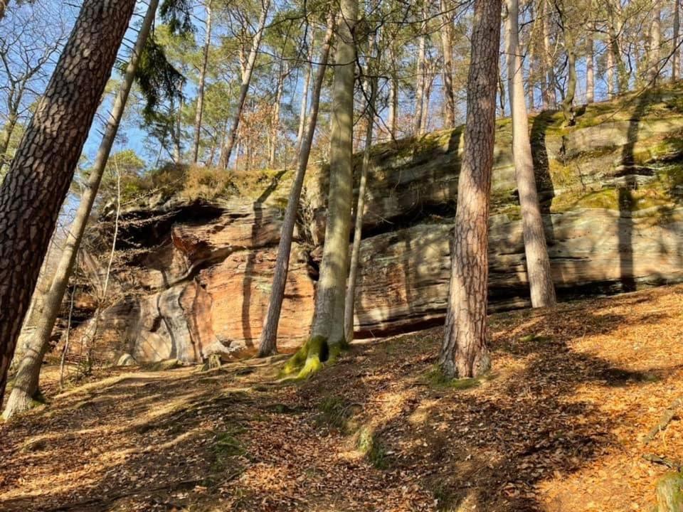 Appartamento Ferienwohung Am Felsenwanderweg Im Pfaelzerwald Rodalben Esterno foto