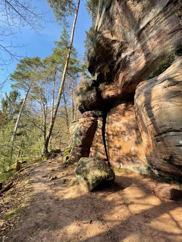 Appartamento Ferienwohung Am Felsenwanderweg Im Pfaelzerwald Rodalben Esterno foto